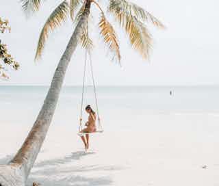 Palm tree swing